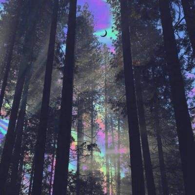 普京发现女士没酒杯后让出自己的