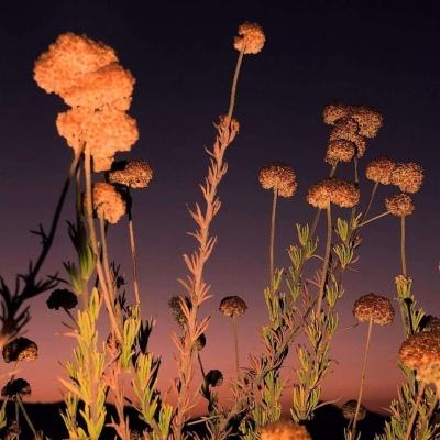 村民搬家发现91年前红军留下的借据